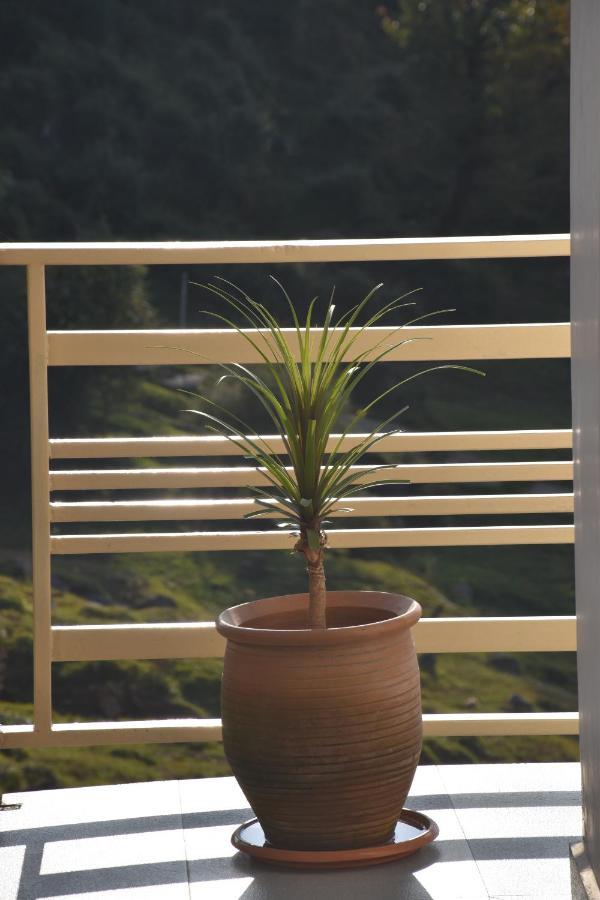 Jot Eco Boutique Stays Dharamsala Zewnętrze zdjęcie