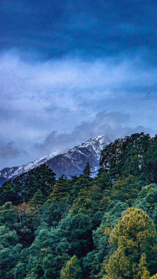 Jot Eco Boutique Stays Dharamsala Zewnętrze zdjęcie